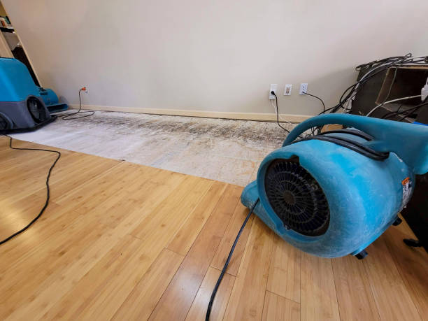 Professional Flood Damage Cleanup technician working in Redwood, MS